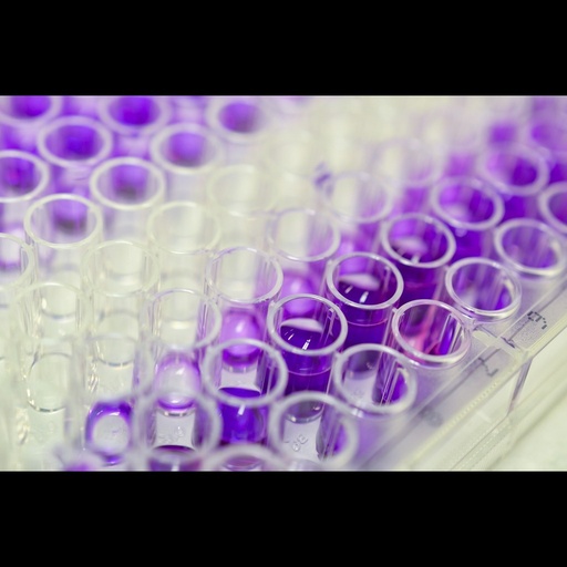 [0399-CSB-EL023446FI-96T] Fish transforming growth factor, beta 1  TGFB1  ELISA kitsize:96T